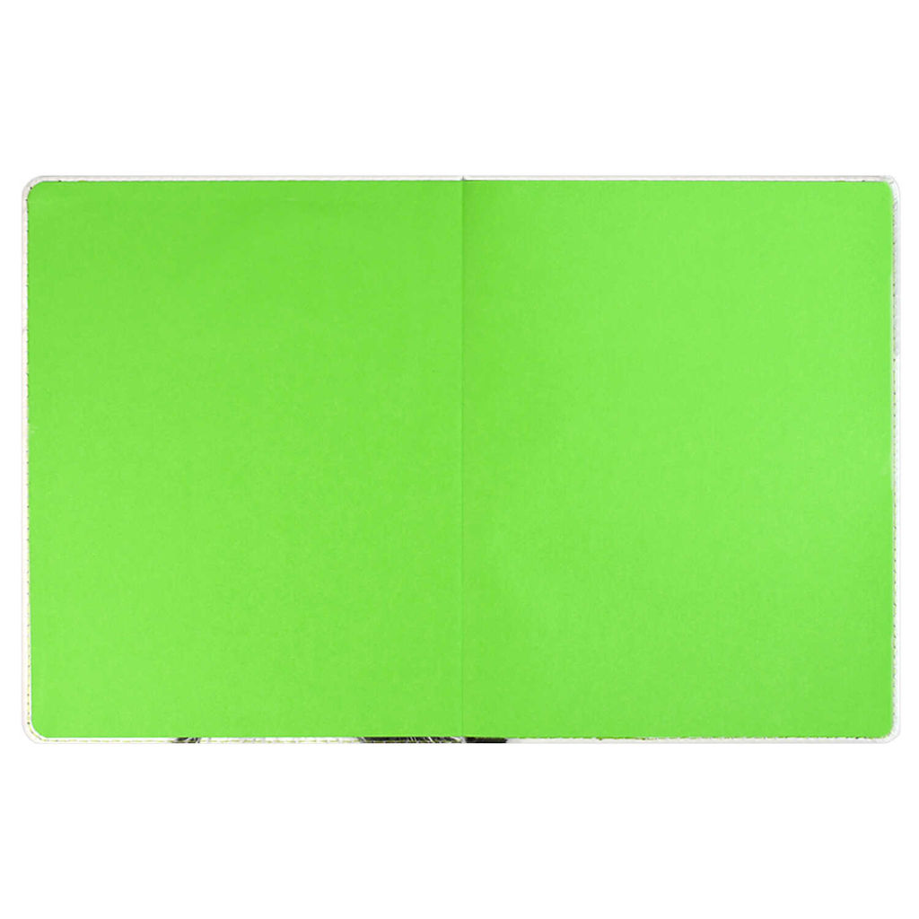 Дневник школьный арт. 68716 / 15 ЕНОТ В ШАПОЧКЕ