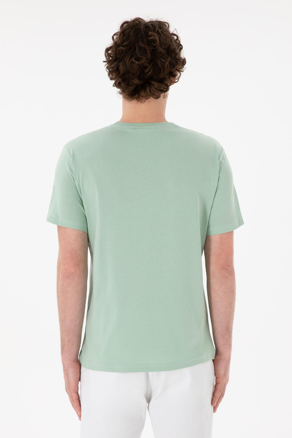 Erkek Regular Fit Bisiklet Yaka Su Ye_ili Basic Ti__rt Sepette S_rpriz _ndirim - U.s. polo assn фото 6