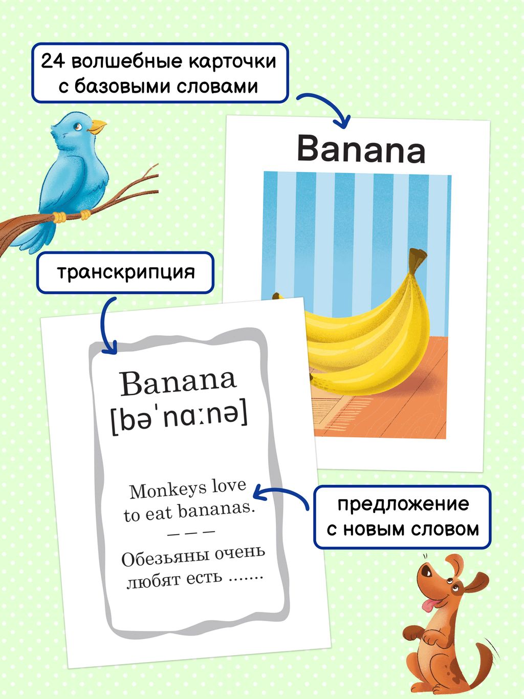 Обучающие карточки для детей Английский по волшебству арт. 56902/ 10 ПРИРОДА гидрохромная краска/ мелованный картон 300 г/м2 - Феникс+ фото 4