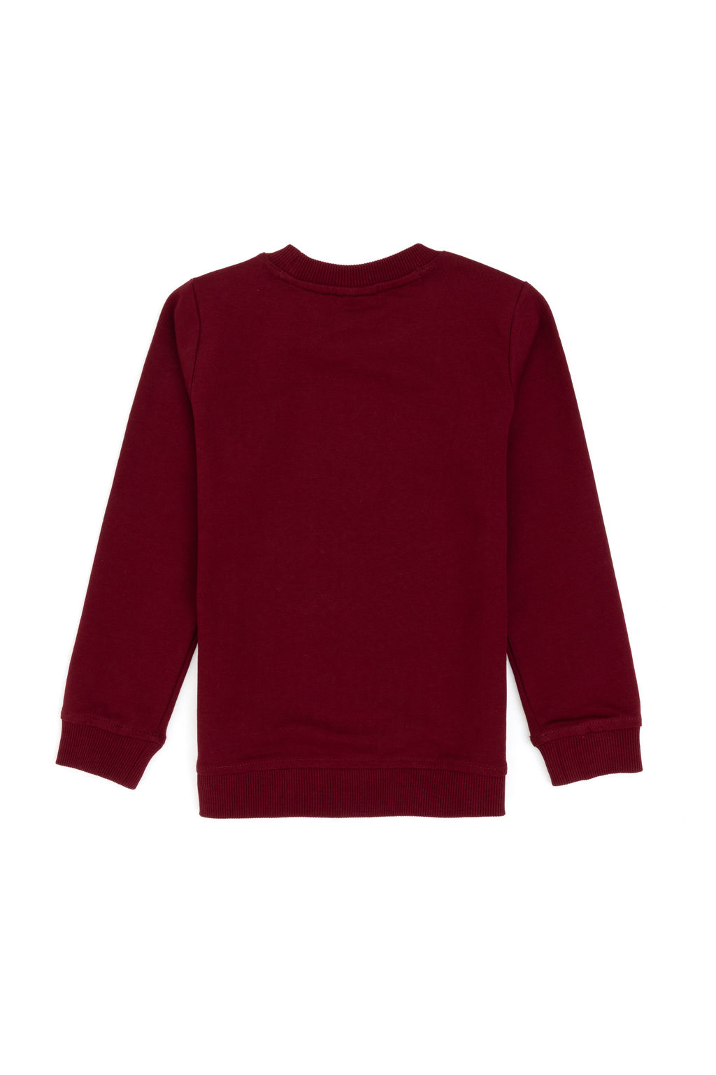 Erkek _ocuk Bordo Bisiklet Yaka _nce Bisiklet Yaka Sweatshirt - U.s. polo assn фото 5