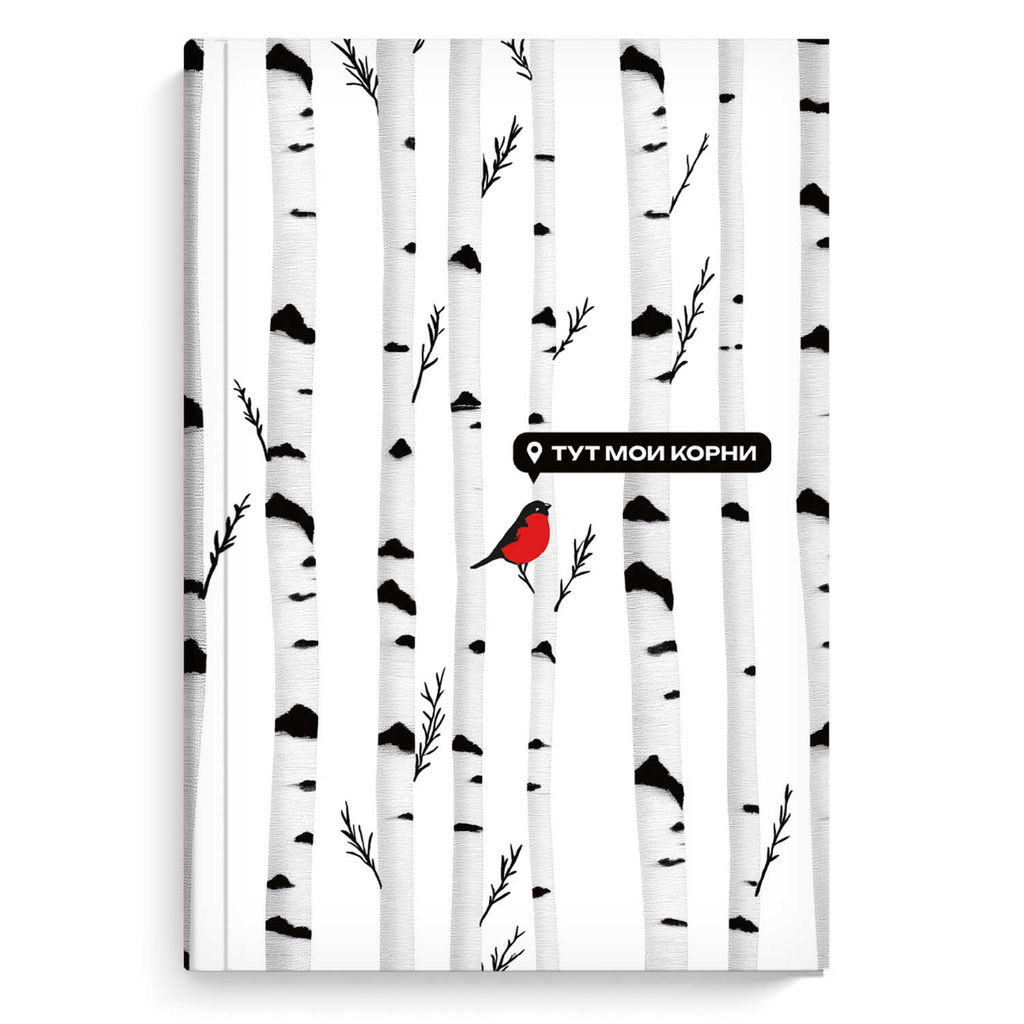 Ежедневник недатированный DIARY арт. 71554 БЕРЕЗА