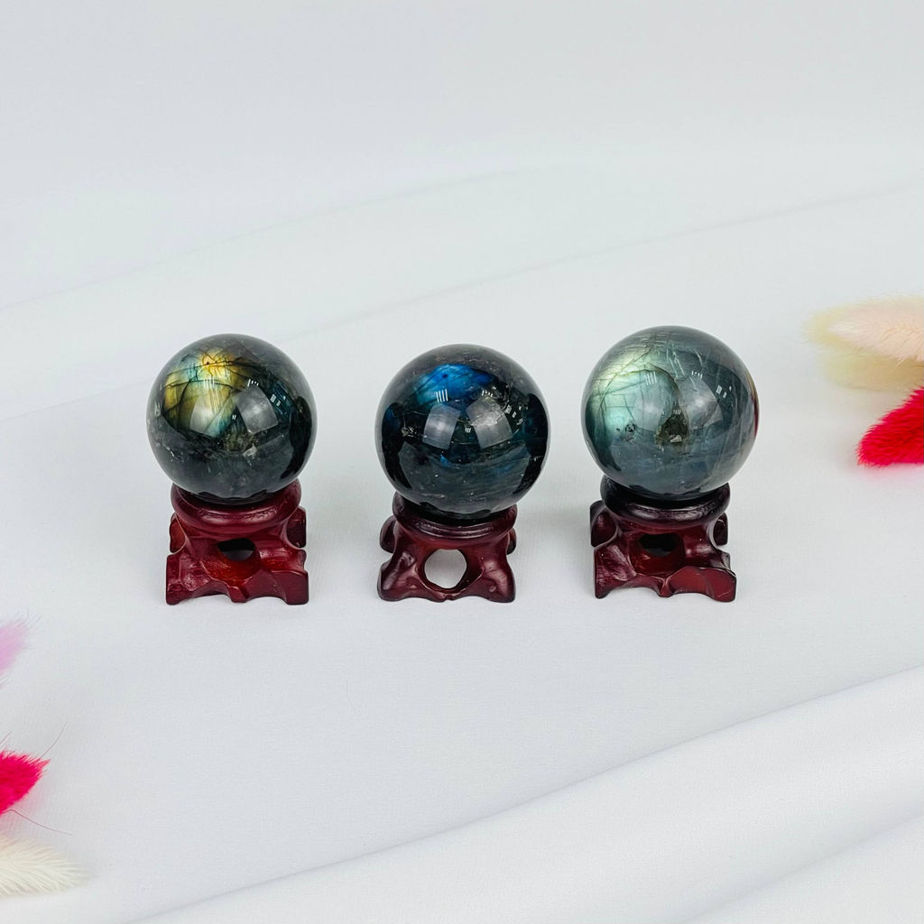 Шар из Лабрадора на подставке