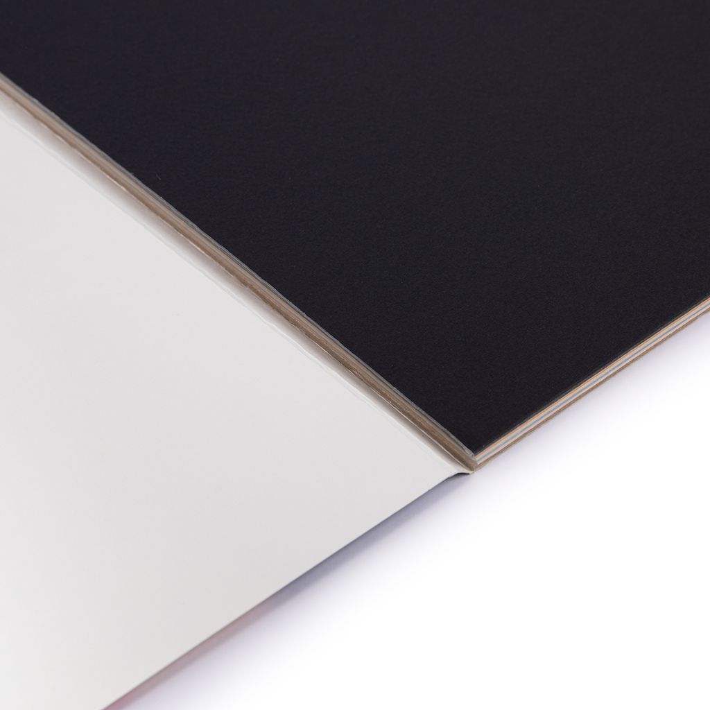 VISTA-ARTISTA Альбом для пастели PCPS-A4 160 г/м2 A4 21 х 29.7 см склейка с одной стороны 18 л. 6 цв. Синичка светлые тона - Светоч фото 3