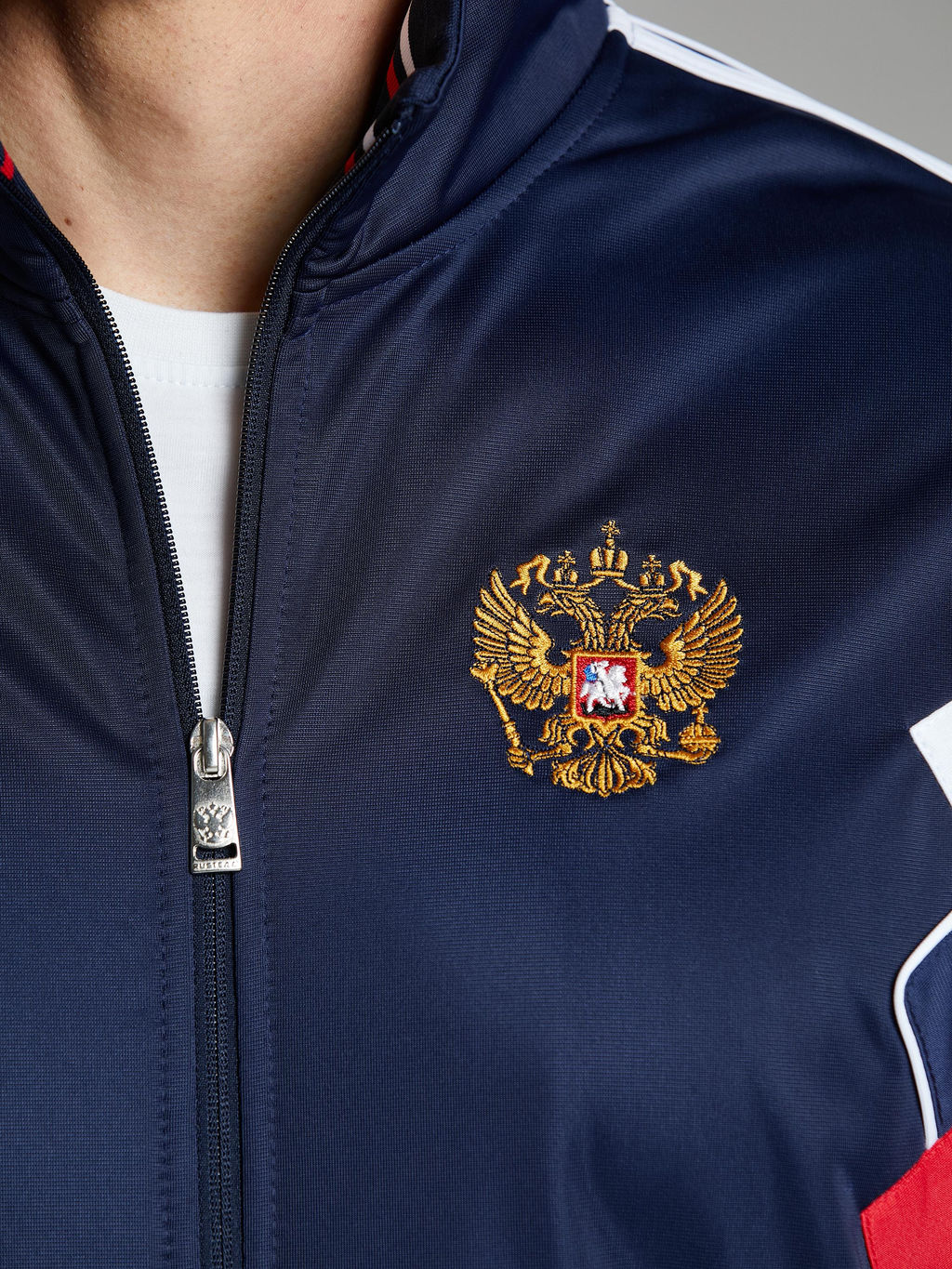 Спортивный костюм мужской RUSSIA 10M-RT-1842