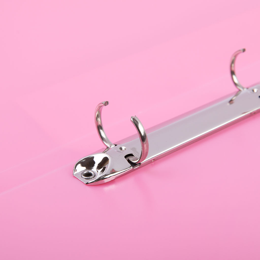 Expert Complete Trend ICEberries Папка на 2 О-кольцах A4 700 мкм 25 мм лён 1 шт. d - 20 мм клубника EC211320073