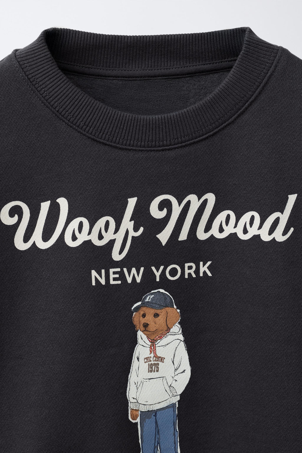 DOG PRINT SWEATSHIRT - Zara фото 9