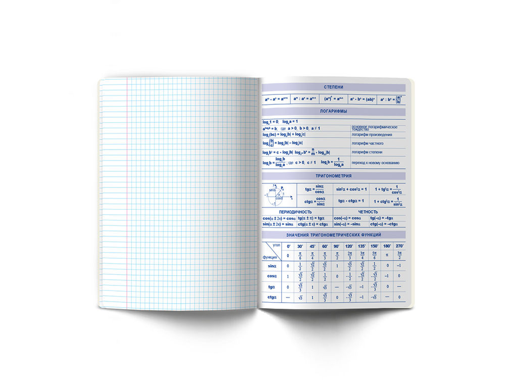 Светоч 48К37 Комплект тетрадей со справочным материалом Скучно не будет!, выборочный лак, A5 48 л. 12 шт. на скобе 65 г/кв.м , белизна 100 % , клетка/линия 01053 12 предметов  фото 21