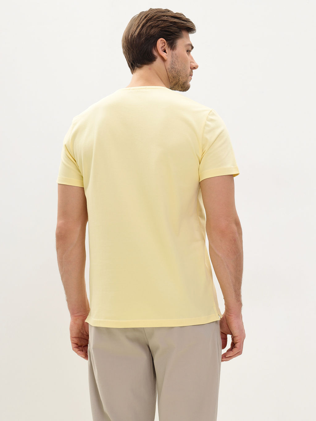 Футболка мужская короткий рукав GREG G145-PO4T-SA0048 (лимон)  фото 5