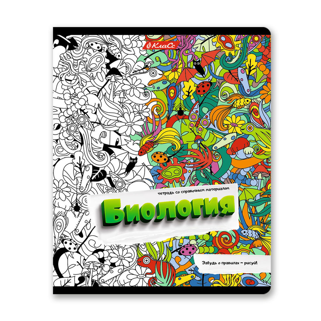 Светоч 48К37 Комплект тетрадей со справочным материалом Скучно не будет!, выборочный лак, A5 48 л. 12 шт. на скобе 65 г/кв.м , белизна 100 % , клетка/линия 01053 12 предметов  фото 6