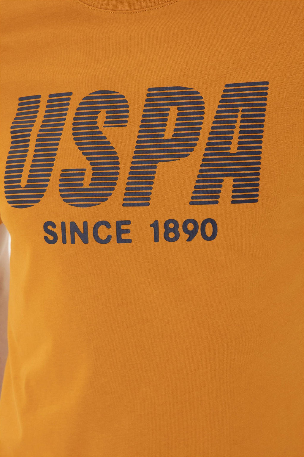 Мужская футболка с плиткой - U.s. polo assn фото 7