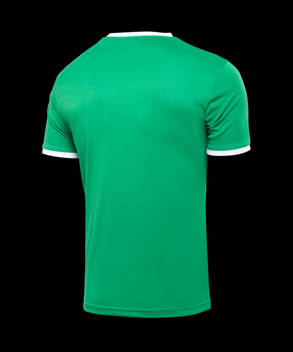 Футболка футбольная JOGEL CAMP Origin, зеленый/белый