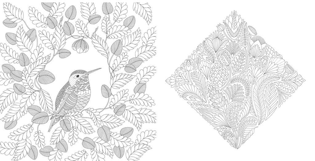 Чудеса природы. Золотая коллекция любимых иллюстраций (тв.обл.). Маротта М. - Колибри фото 5