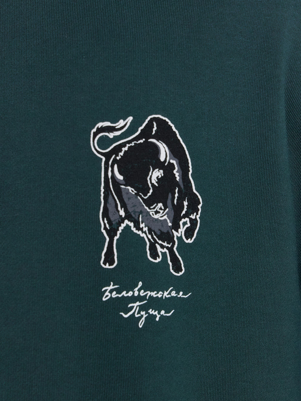 Худи мужское зеленое с принтом Беловежская пуща т.зеленый +печать 121927 - Mark formelle фото 8