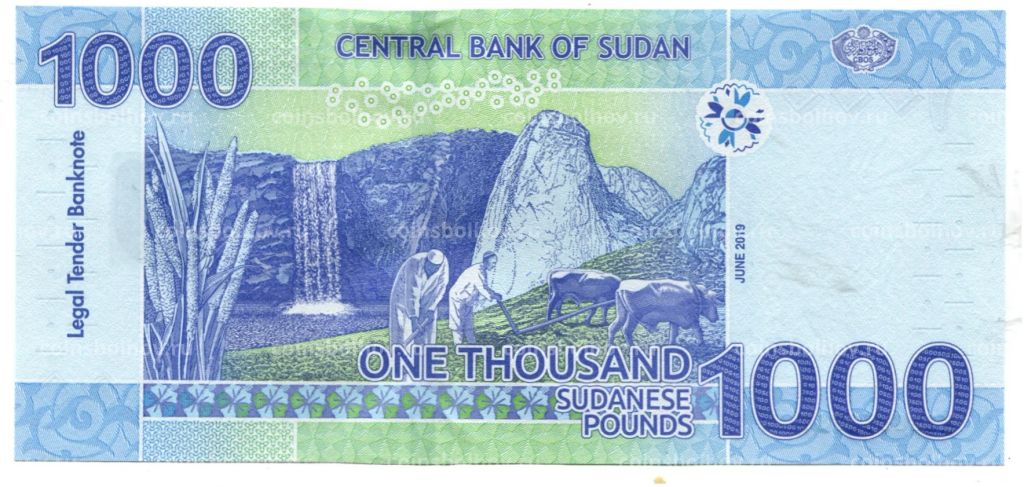 1000 фунтов 2019 года Судан