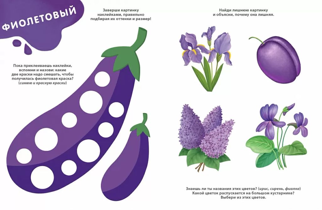 Изучаем цвета, слова, цифры с наклейками и заданиями - Робинс фото 5