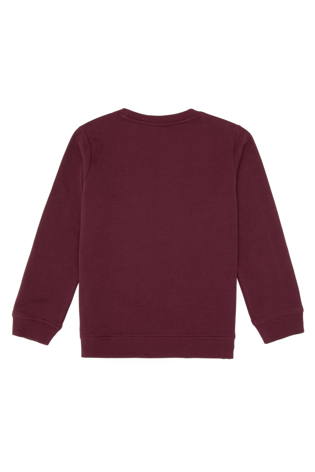 Erkek _ocuk Bordo Basic Bisiklet Yaka Sweatshirt Sepette S_rpriz _ndirim - U.s. polo assn фото 2