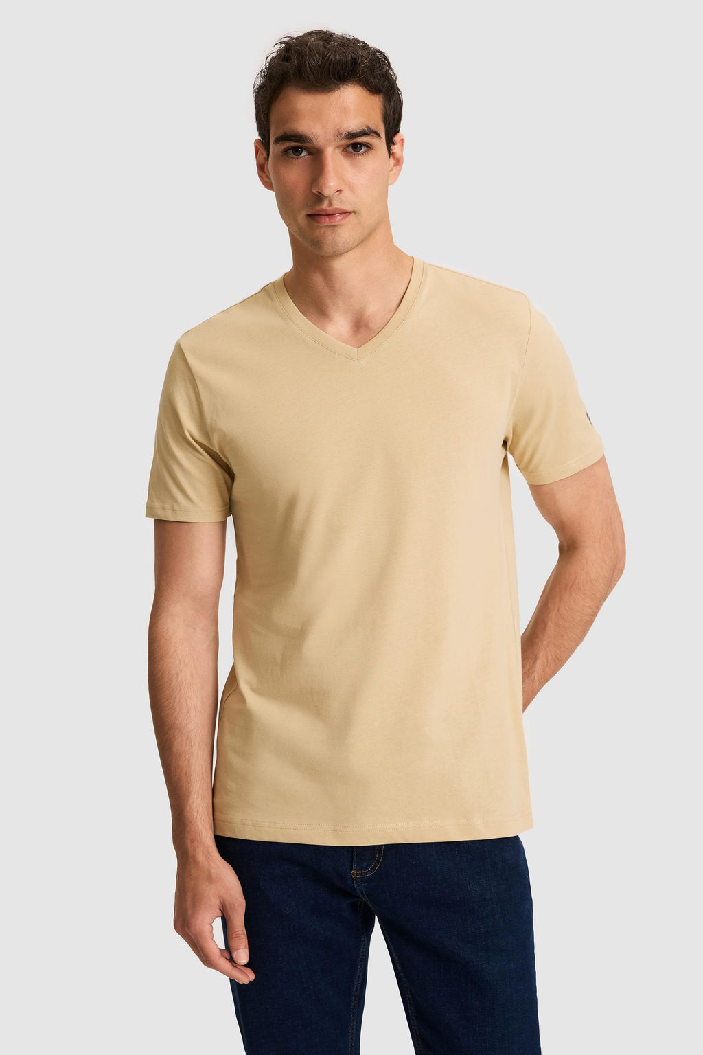 Erkek Regular Fit V Yaka Bej Basic Ti__rt