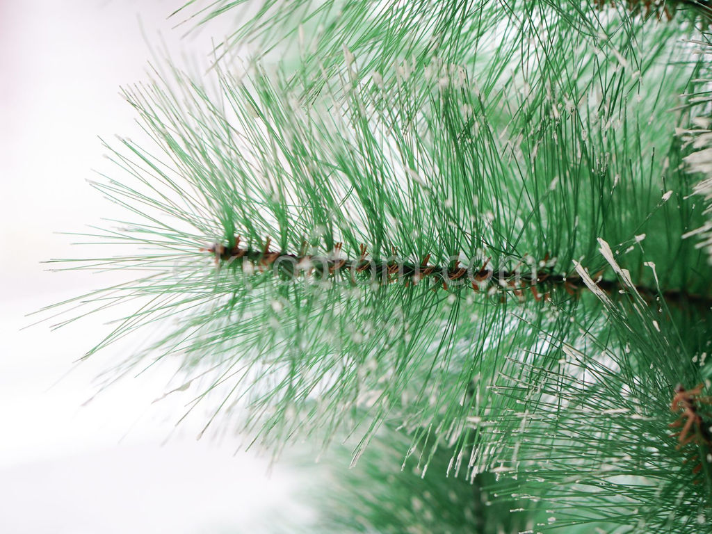 Сосна пушистая с инеем и шишками сборная 150 см - Ип лебедев о.ю фото 5