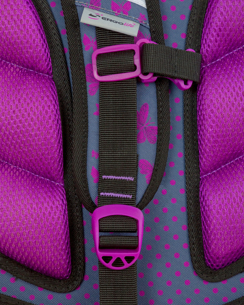 Школьный рюкзак SK2-25 - Steiner фото 16