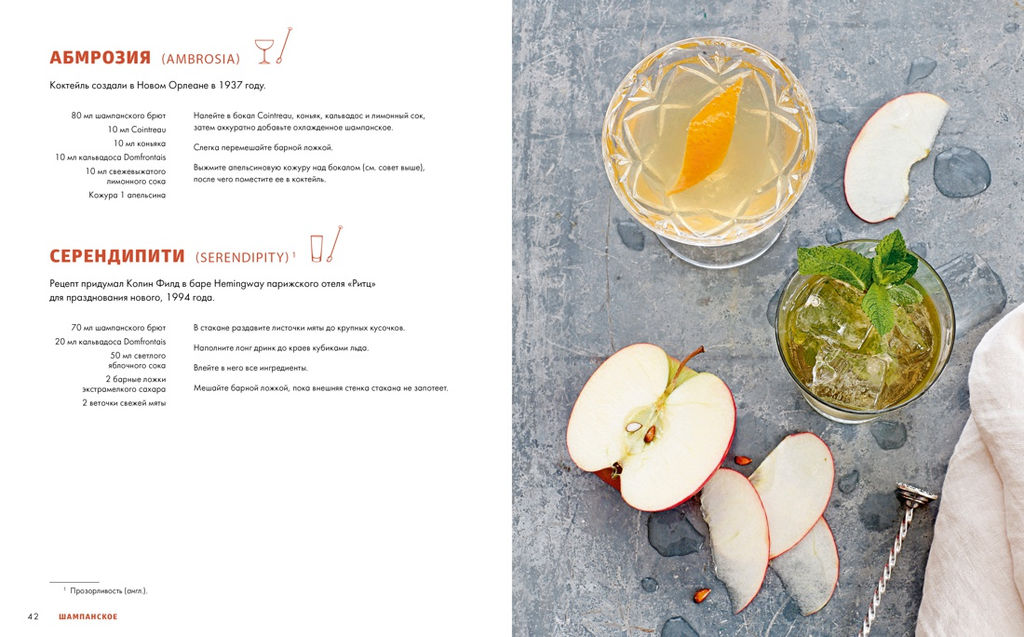 Практическая миксология. Девайсы. Техники. Ингредиенты. Кастеллон Ф. - Колибри фото 3