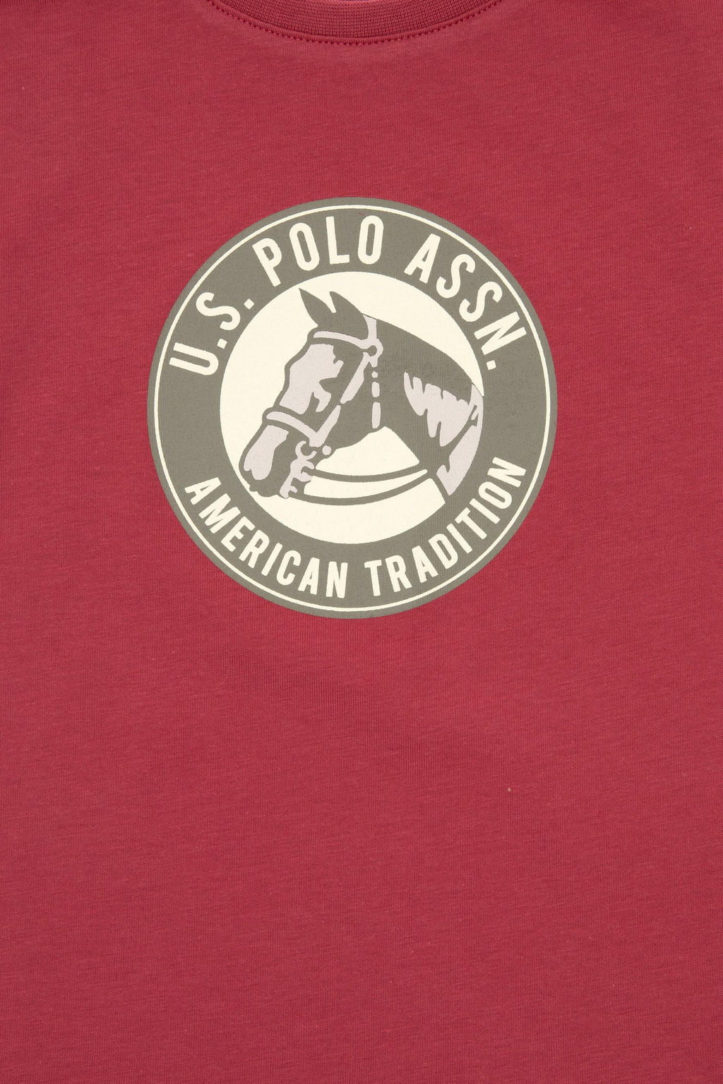 Erkek _ocuk Vi_ne Oversize Bisiklet Yaka Ti__rt Sepette S_rpriz _ndirim - U.s. polo assn фото 6