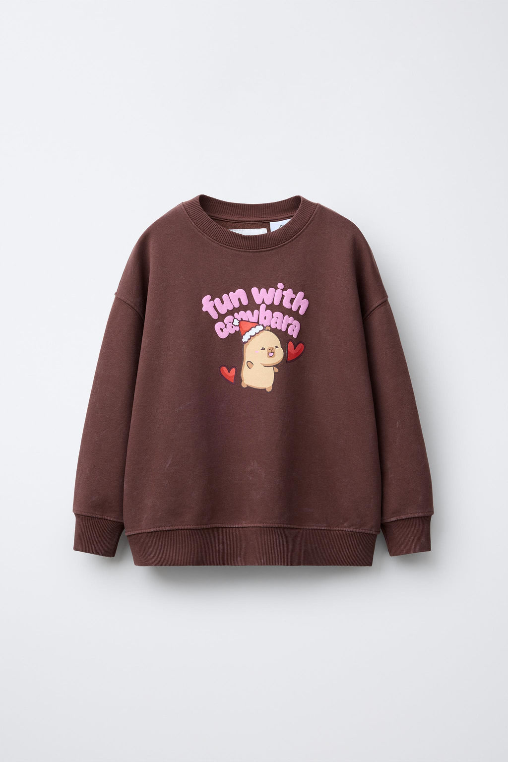 CAPYBARA CAPYFUN PRINTED SWEATSHIRT