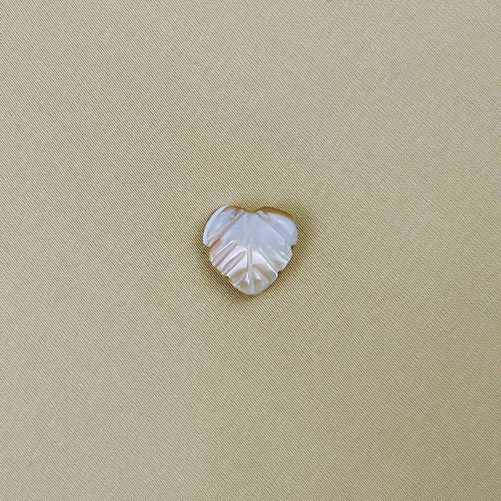 Бусины для украшений из Перламутра (5 шт)