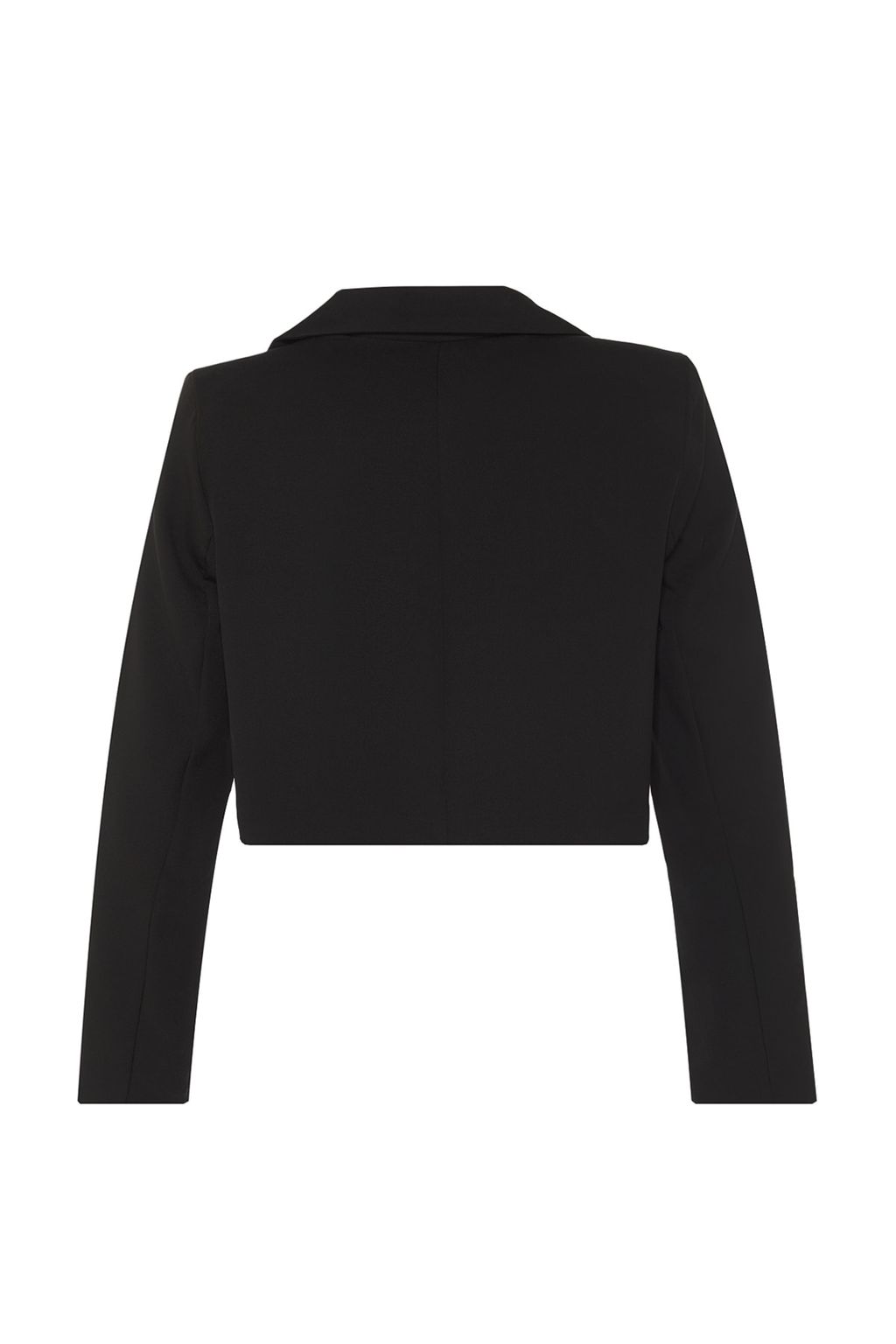 Siyah Crop Astarl? Dokuma Blazer Ceket TWOAW22CE0086