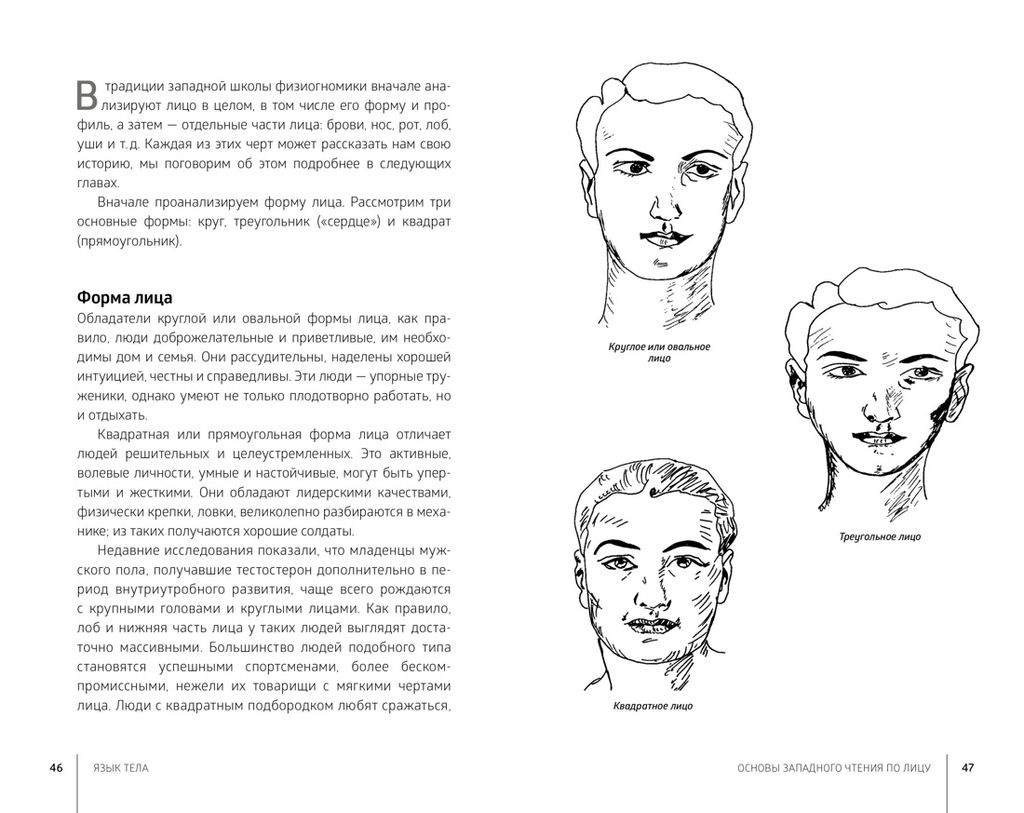 Язык тела. Фентон С. - Колибри фото 4