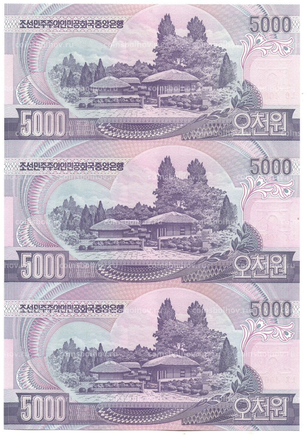 Банкнота 5000 вон 2006 года Северная Корея  Лист из трех банкнот