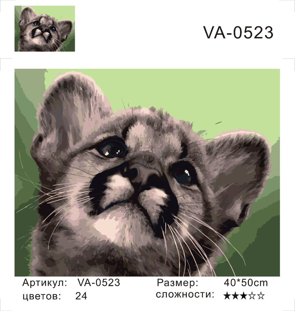 Картина по номерам на холсте и подрамнике 40х50 см