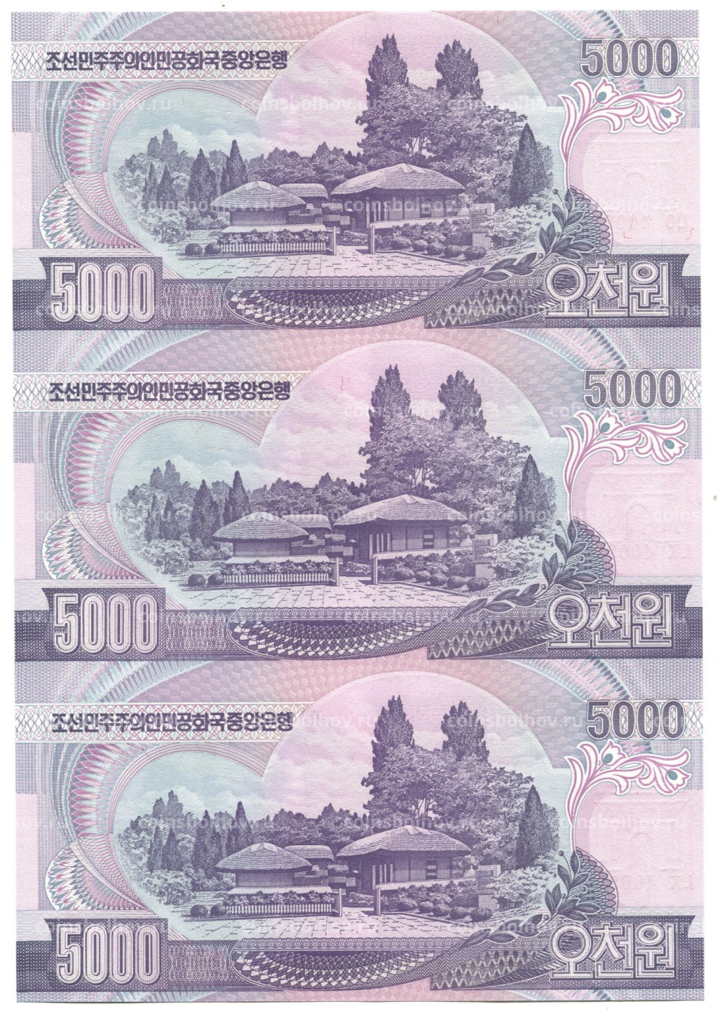 Банкнота 5000 вон 2006 года Северная Корея  Лист из трех банкнот