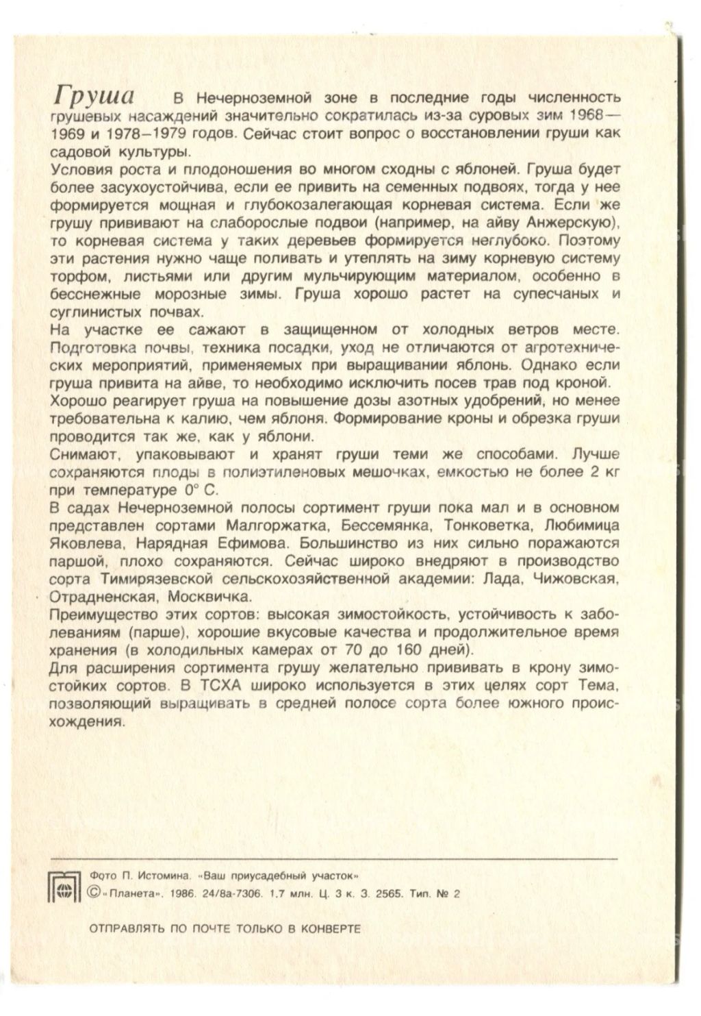 Открытка Груша