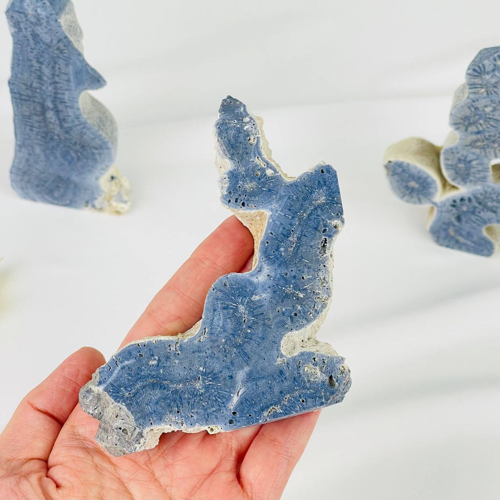 Срез Коралла - Радуга самоцветов фото 3