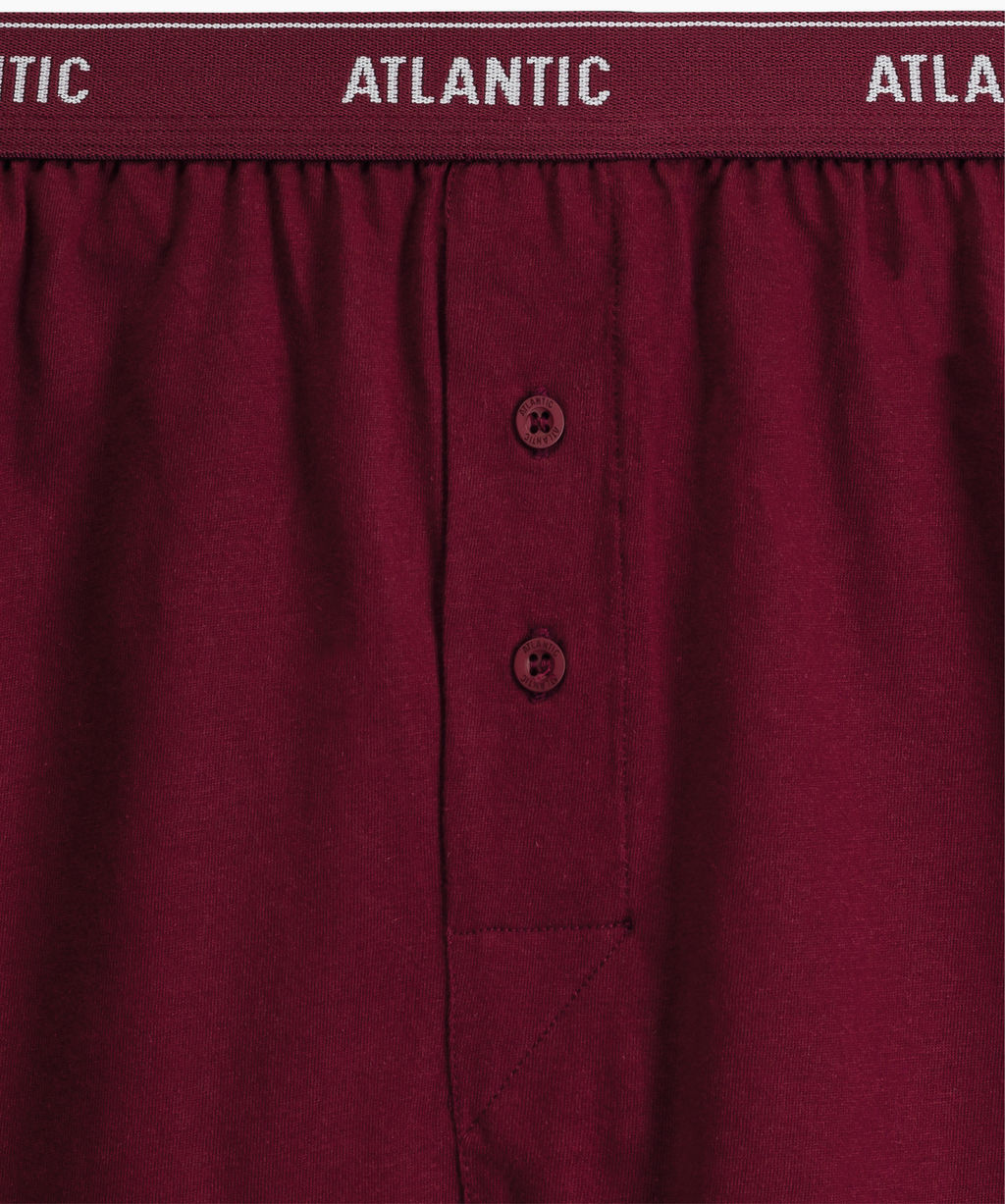 ATLANTIC 2RMX-001 Трусы боксеры - набор (2 шт.) графитовый + каберне  фото 4