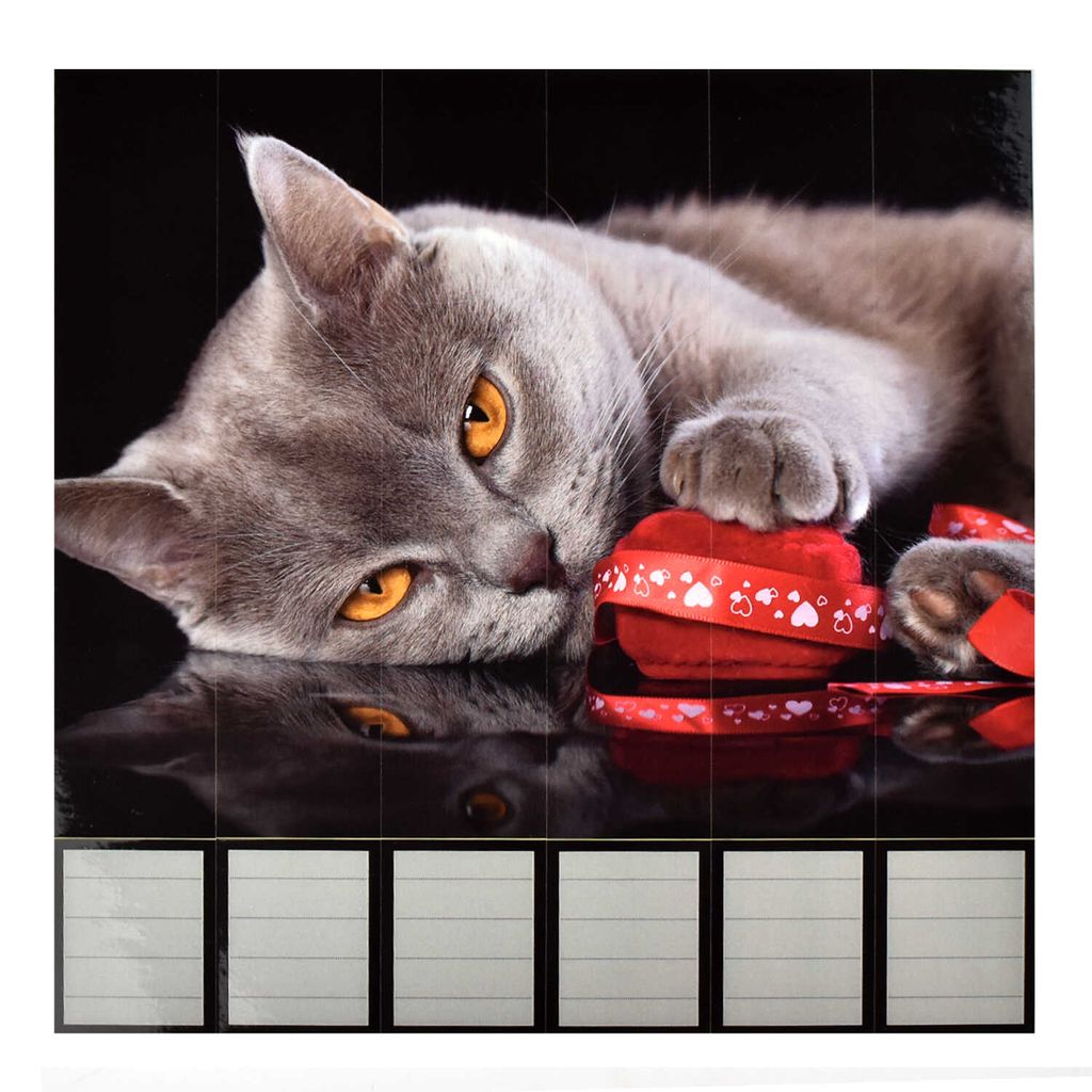 Этикетки самоклеящиеся для папок-регистраторов с корешком 5 см арт. 58507 - Escalada фото 2