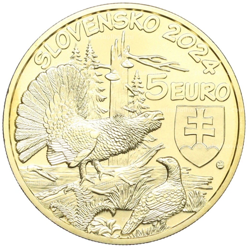 Монета 5 евро 2024 года Словакия Глухарь