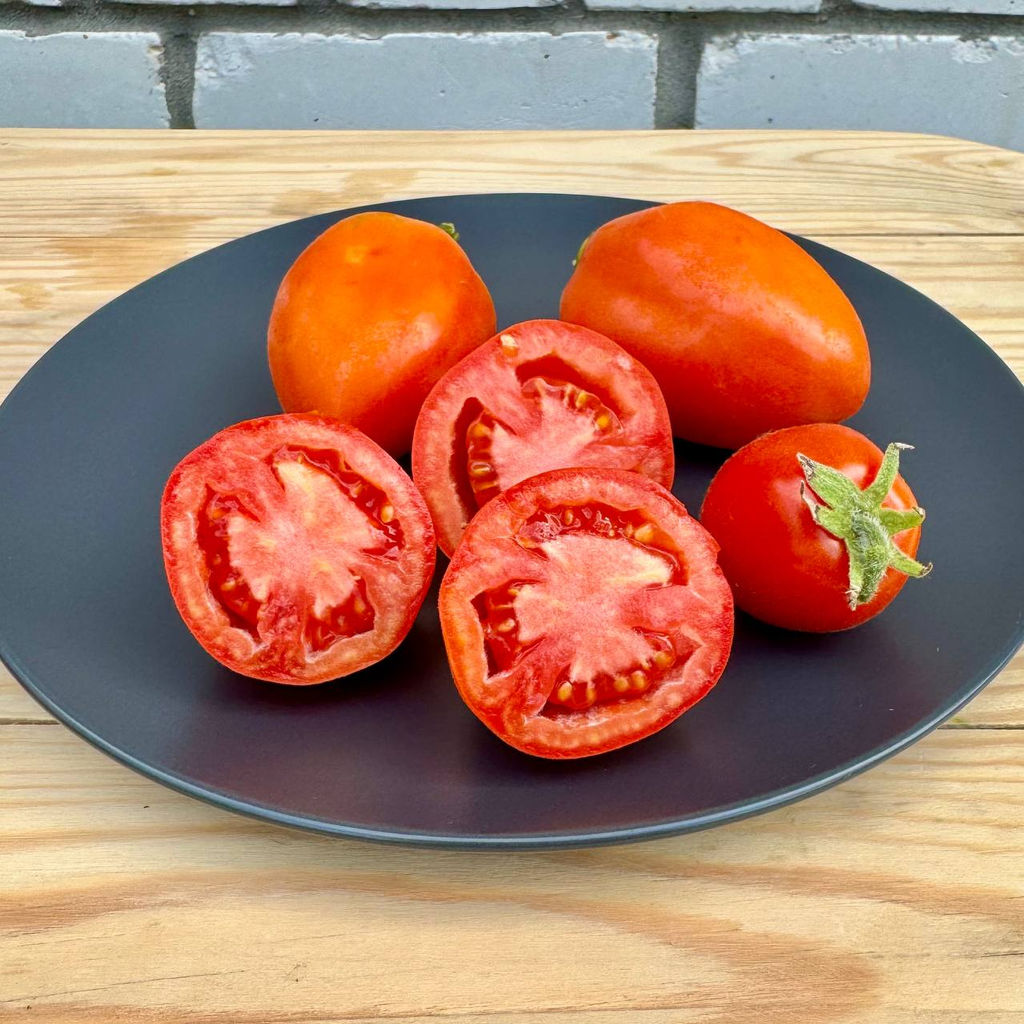 Гном Мохнатый шмель НОВИНКА 2025 года!