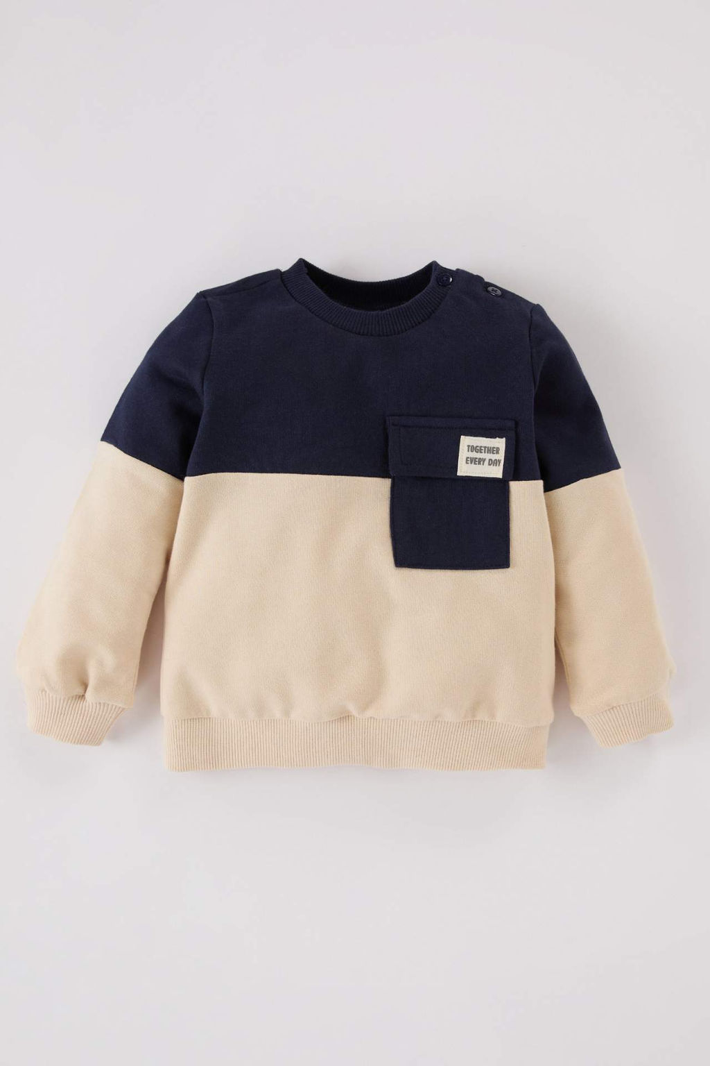 Erkek Bebek Bisiklet Yaka Renk Bloklu Ici Yumusak Tuylu Sweatshirt - Defacto фото 3