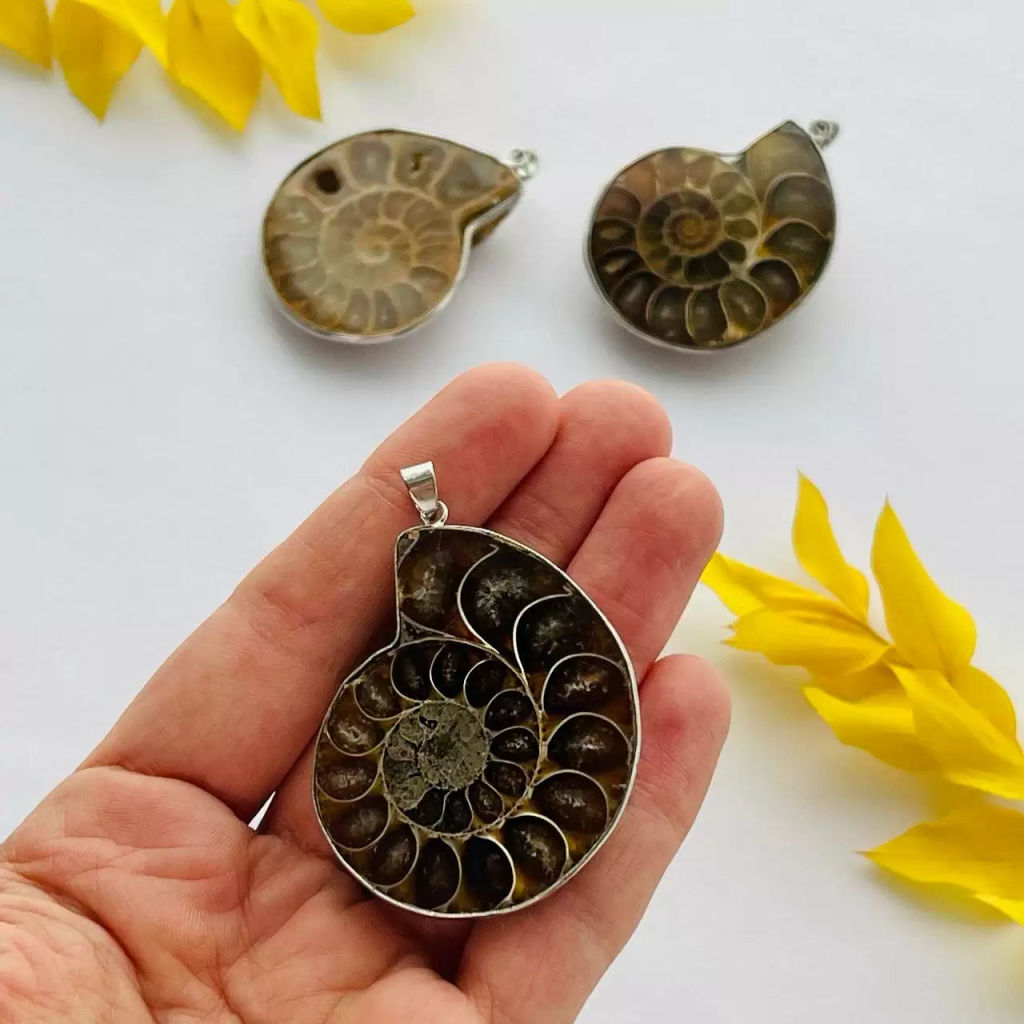 Кулон Аммонит