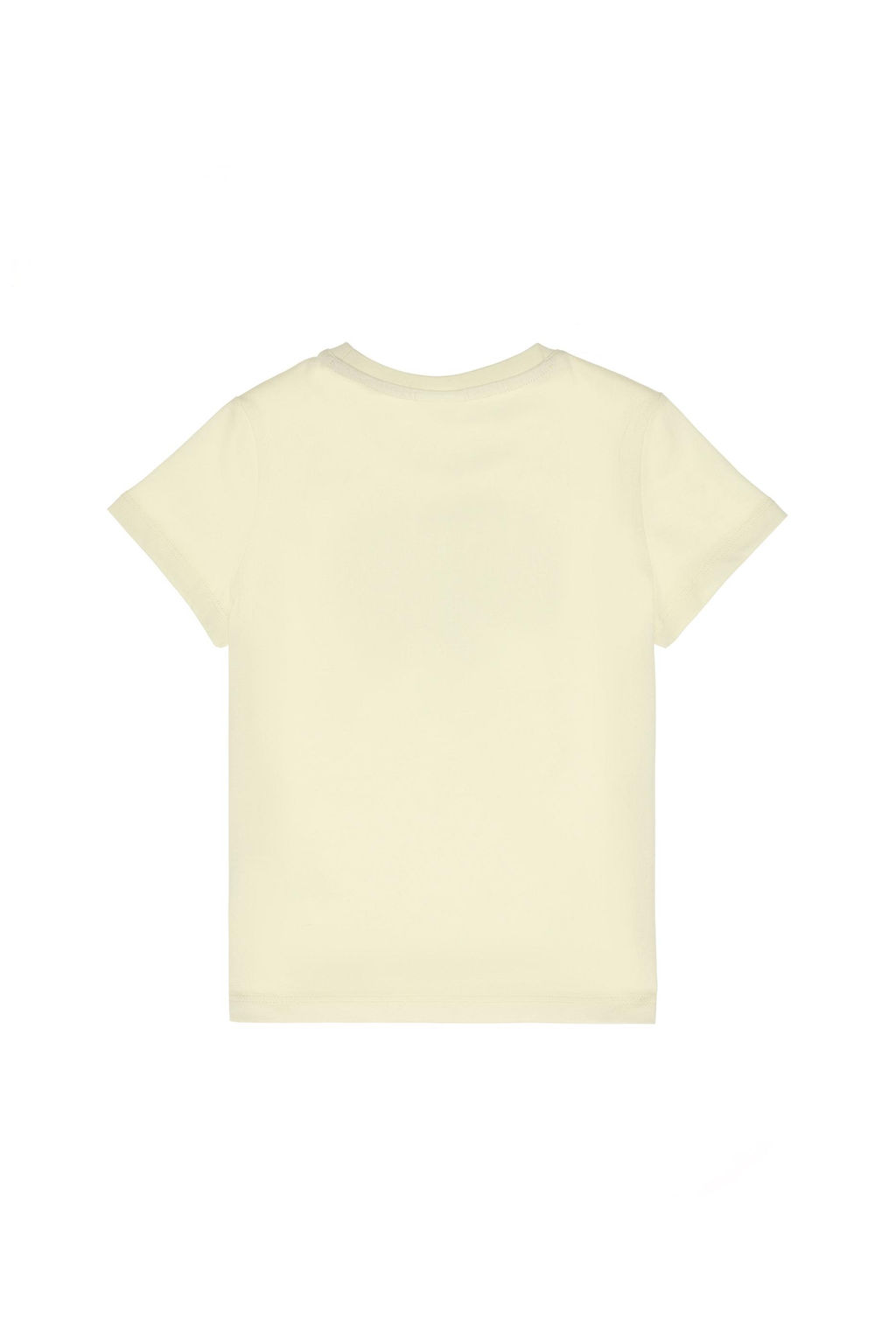Erkek _ocuk Limon Ti__rt Sepette S_rpriz _ndirim - U.s. polo assn фото 3