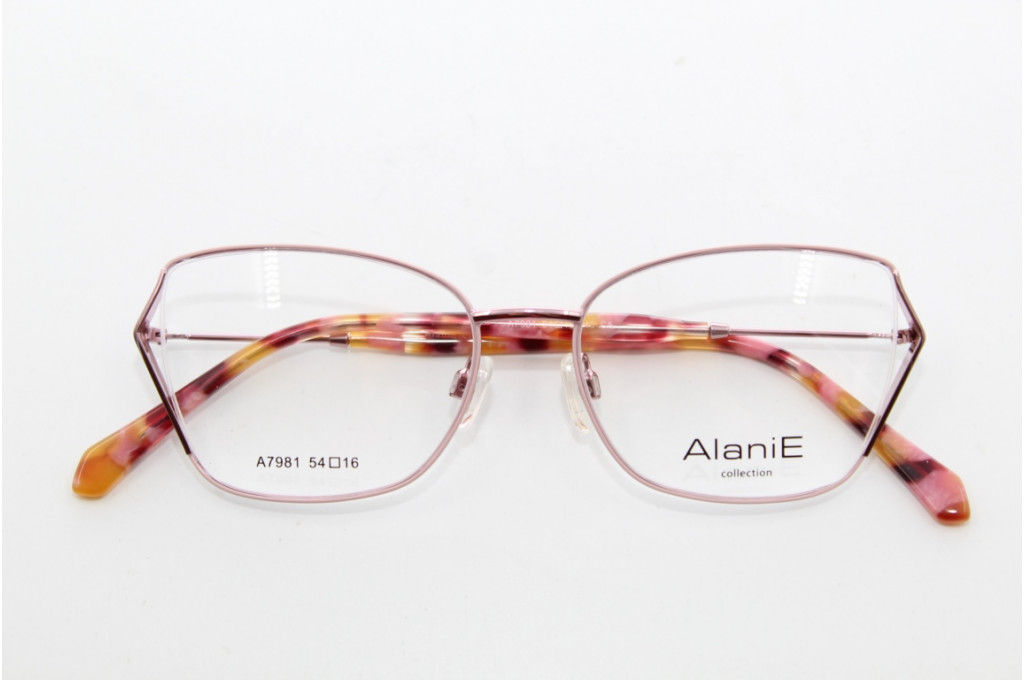Оправа ALANIE 7981 54-16-140 C5