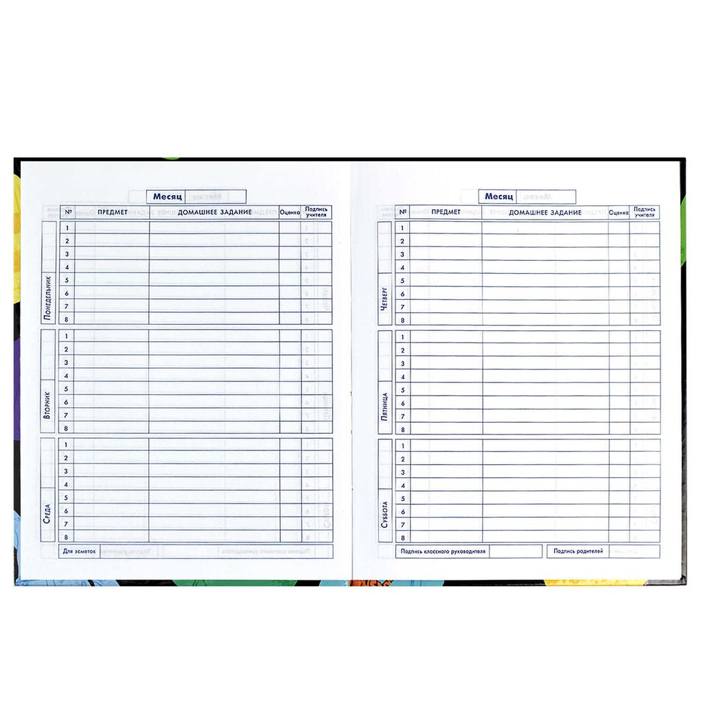 Дневник школьный 5-11 класс арт. 60090 КРУТОЙ ПРИНТ - Феникс+ фото 8