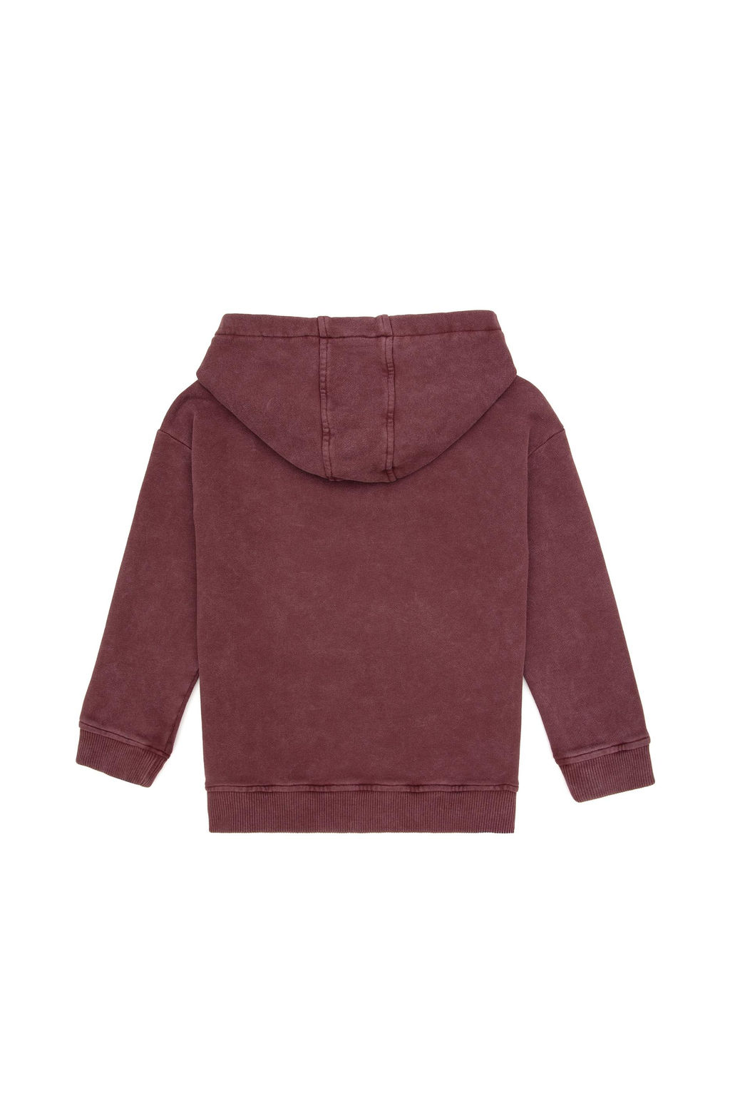 Erkek _ocuk Bordo Kap__onlu Sweatshirt - U.s. polo assn фото 2