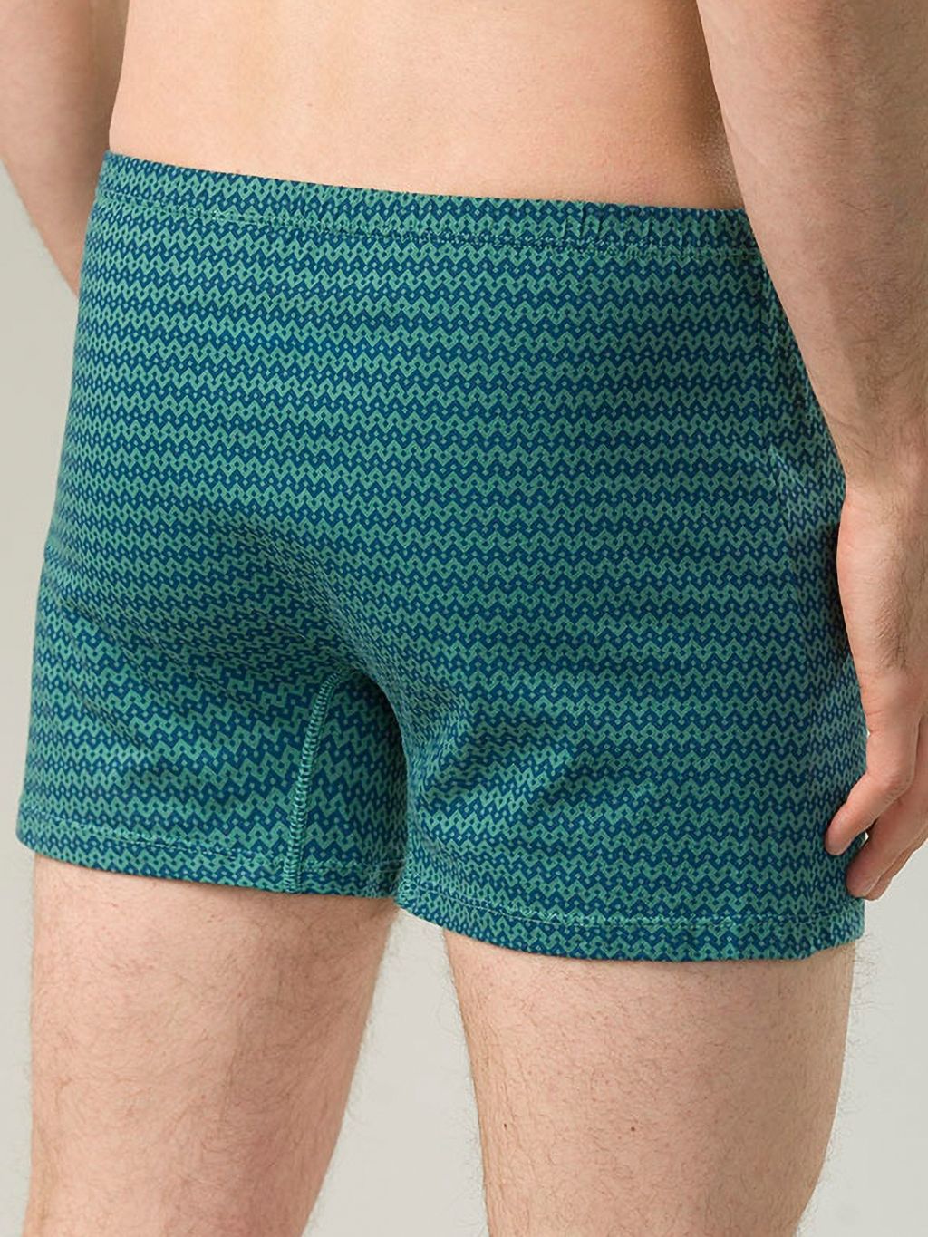 PELICAN, трусы мужские, Серый фото 2