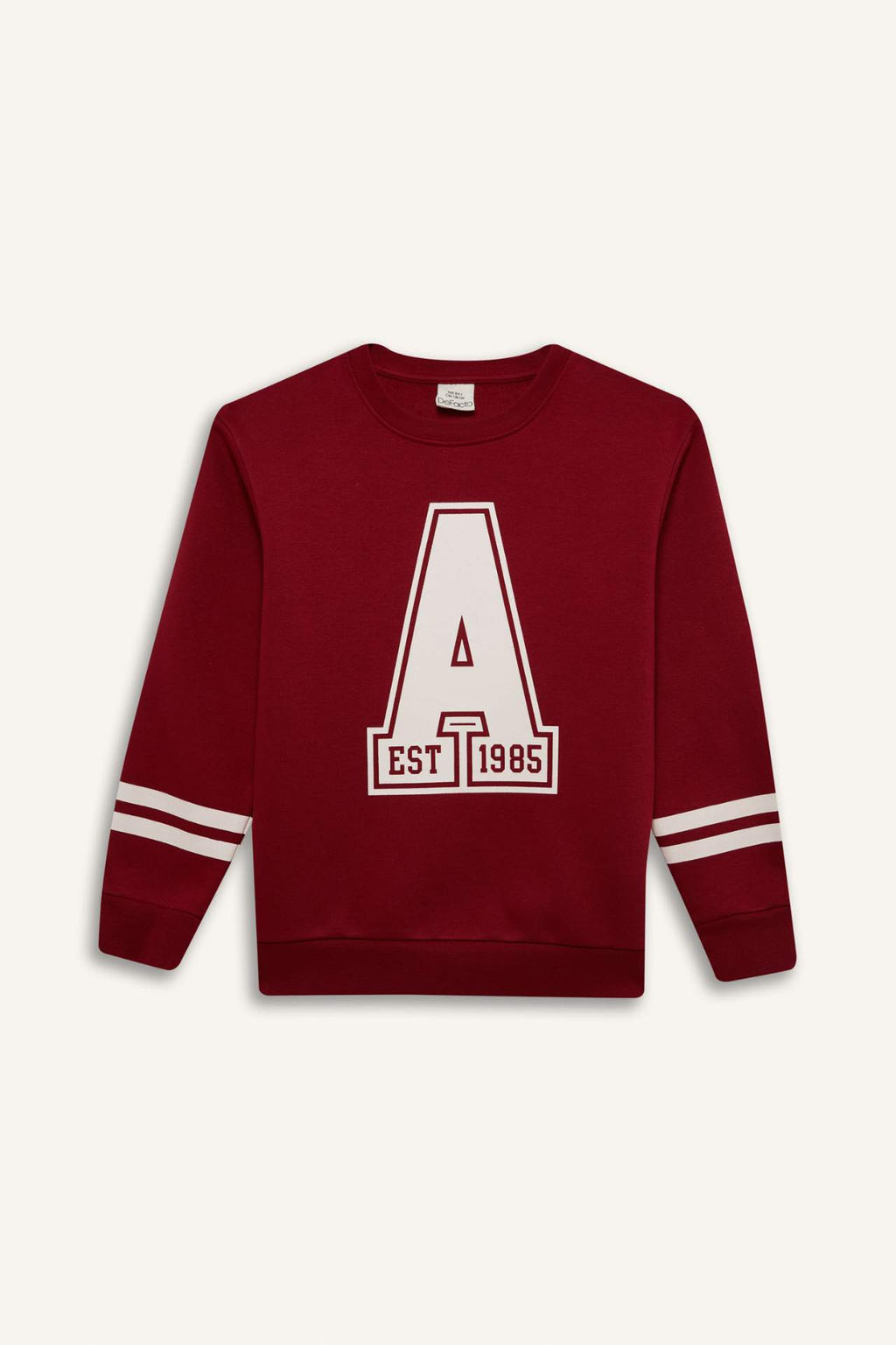 Erkek Cocuk Bisiklet Yaka Bask?l? Kal?n Sweatshirt - Defacto фото 2