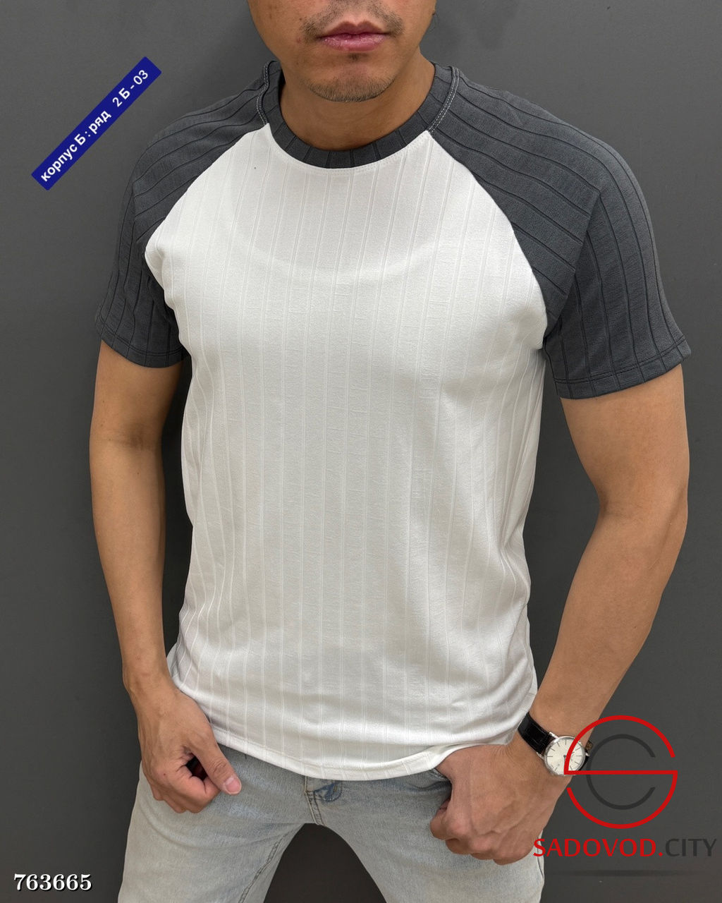 Мужская однотонная футболка