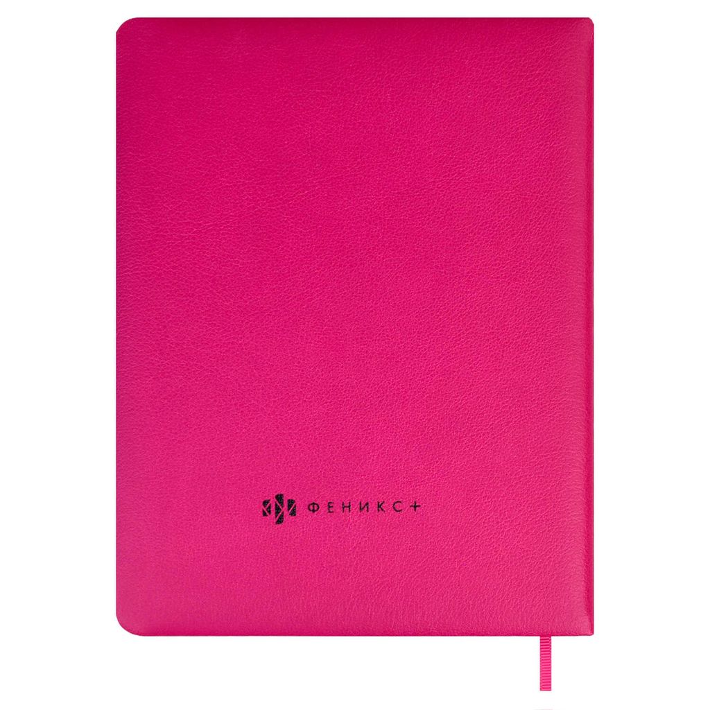 Дневник школьный арт. 58704 / 15 КОТ - Феникс+ фото 2