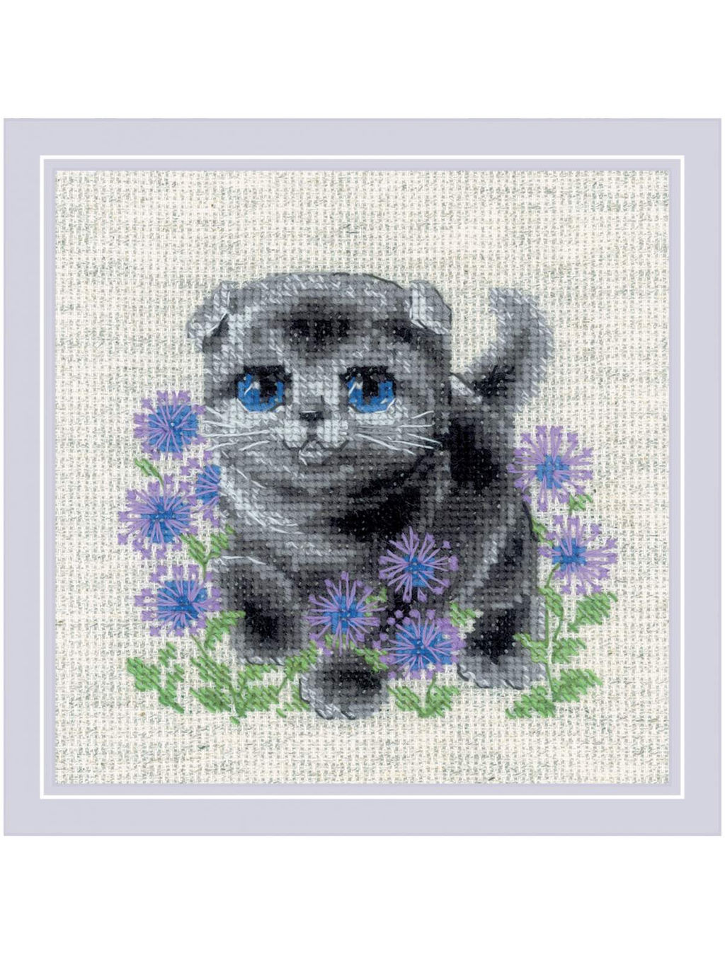 2120 Вислоухий котёнок