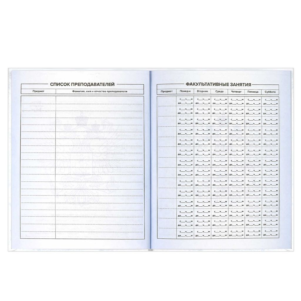 Дневник российского школьника арт. 60148 ТРИАДА НА БЕЛОМ - Феникс+ фото 8